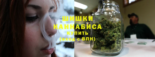 ГАЛЛЮЦИНОГЕННЫЕ ГРИБЫ Весьегонск