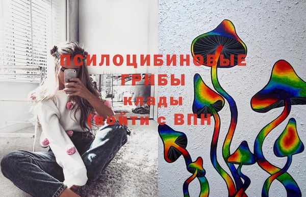 крисы Арсеньев